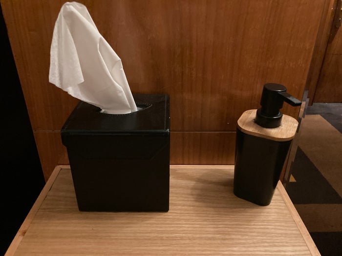 Hyatt Regency Casablanca elevator waiting area tissue sanitizer