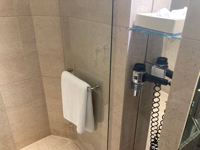 Hyatt Regency Casablanca junior suite bathroom shower door