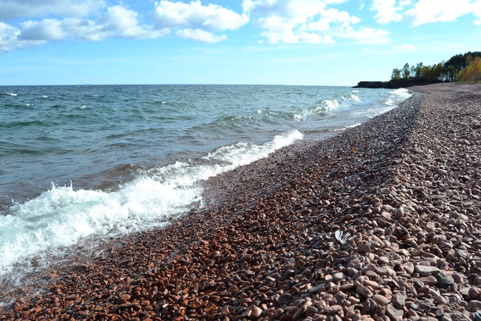 Ionas Beach Scientific Natural Area Ionas Beach Scientific Natural Area