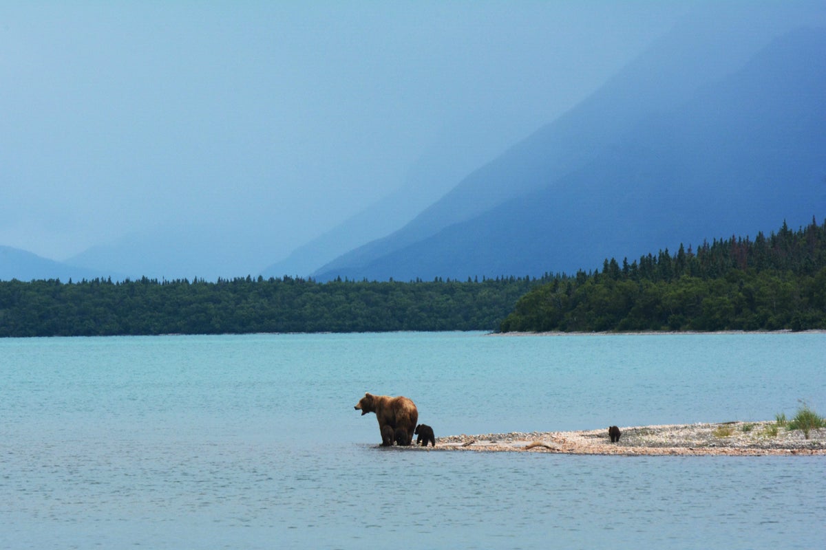 The Ultimate Guide to Katmai National Park and Preserve — Best Things To Do, See & Enjoy!