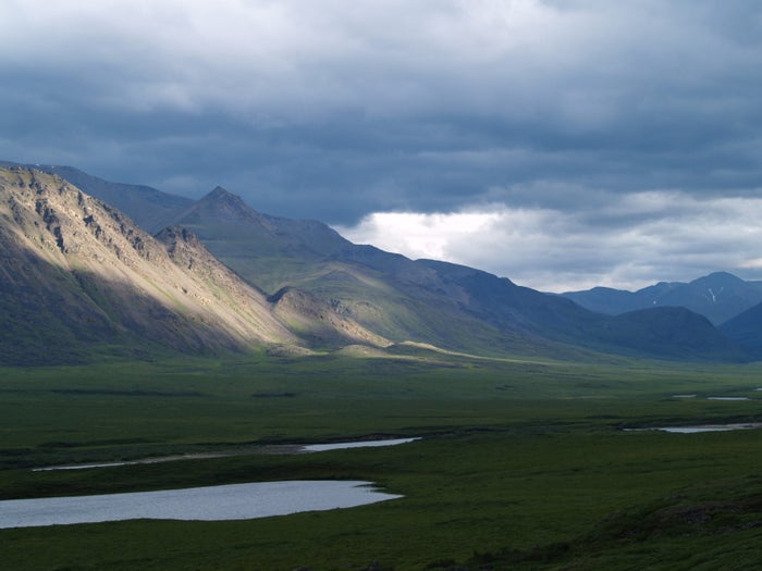 Killik River Killik River