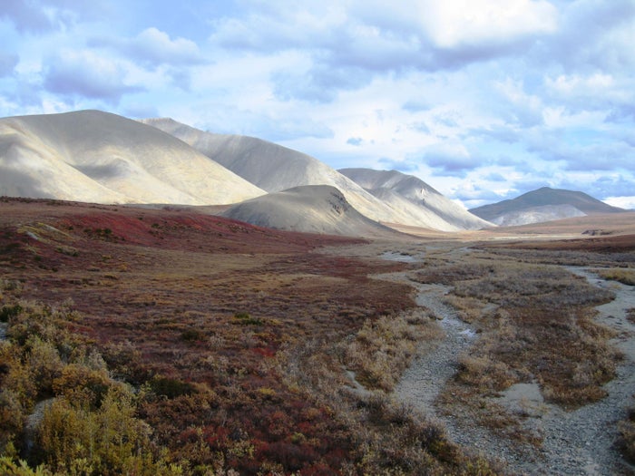 The Ultimate Guide to Kobuk Valley National Park — Best Things To Do, See & Enjoy!