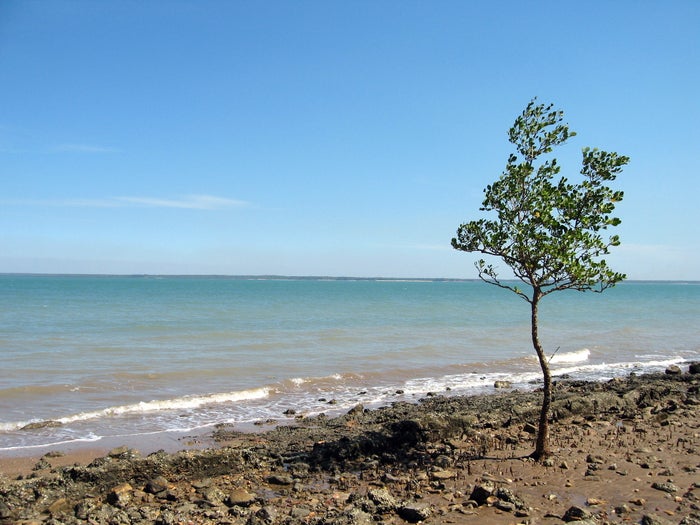Lameroo Beach Lameroo Beach