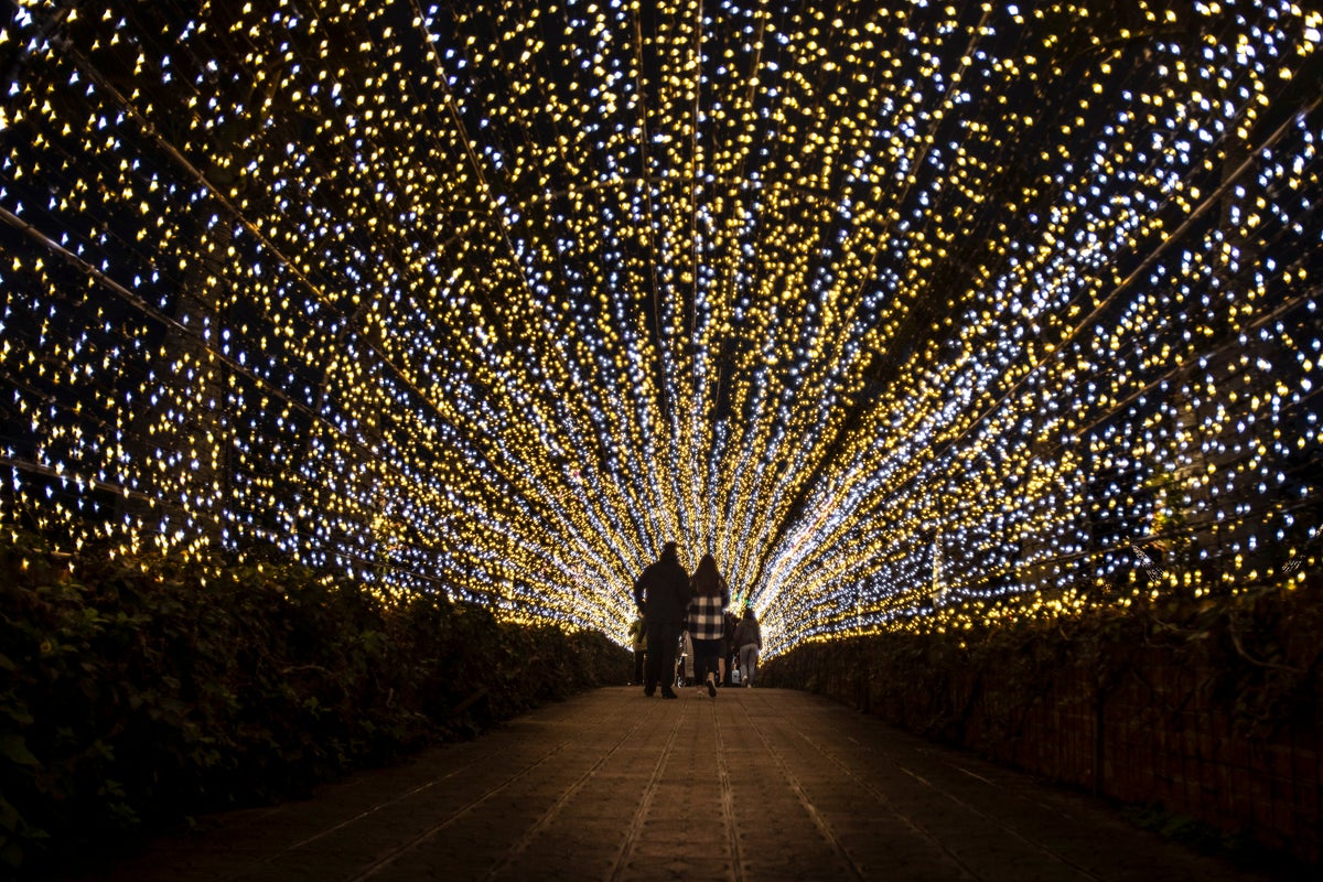 Lighted Gardens with Family Walking Japan