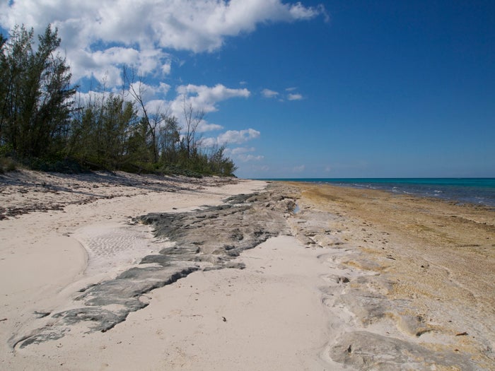 Love Beach Bahamas Love Beach Bahamas