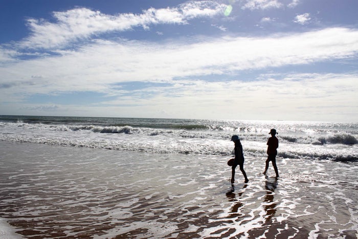 Mon Repos Beach Mon Repos Beach