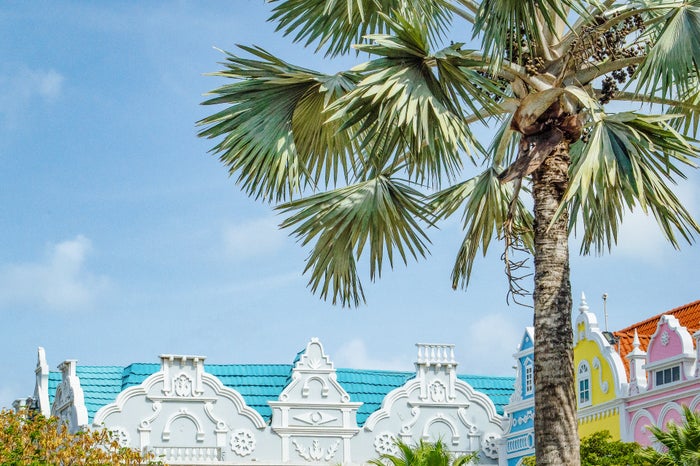 Oranjestad Aruba Palm tree and colorful buildings