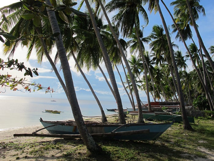 Paliton Beach Siquijor Paliton Beach Siquijor