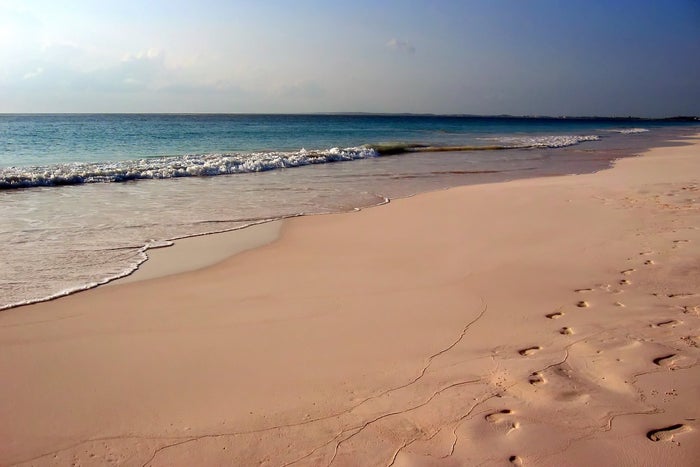 Pink Sand Beach Harbour Island Pink Sand Beach Harbour Island