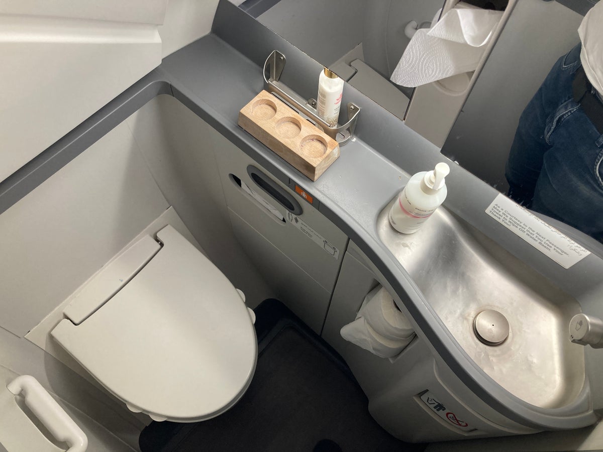 Royal Air Maroc Boeing 737 MAX 8 business class LHR CMN bathroom