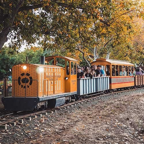 Bishops Pumpkin Patch