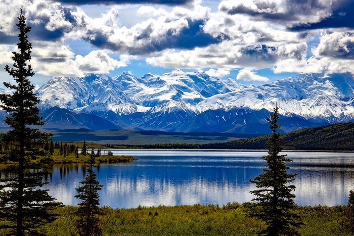 Denali National Park Alaska Denali National Park Alaska