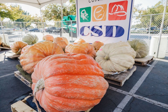 Elk Grove Giant Pumpkin Festival