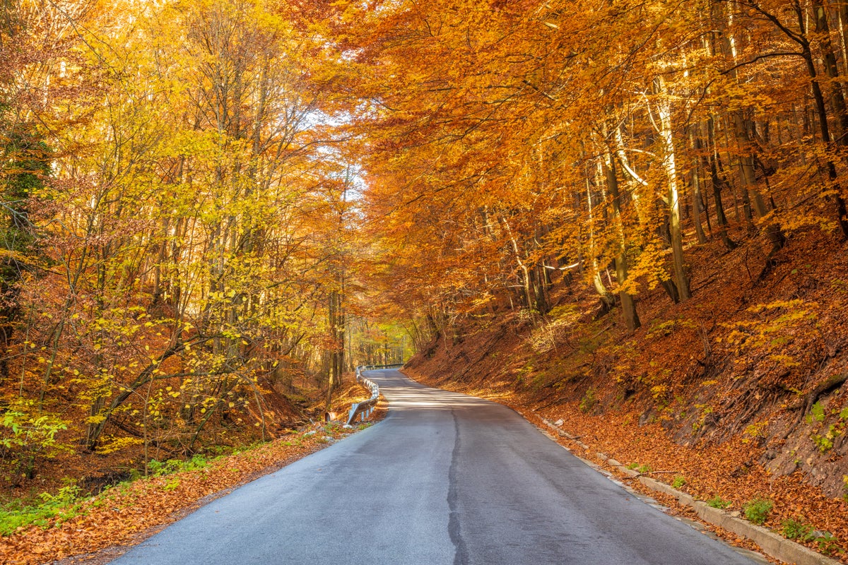 Best Fall Weekend Getaways: 10 Cozy Retreats for Stunning Foliage