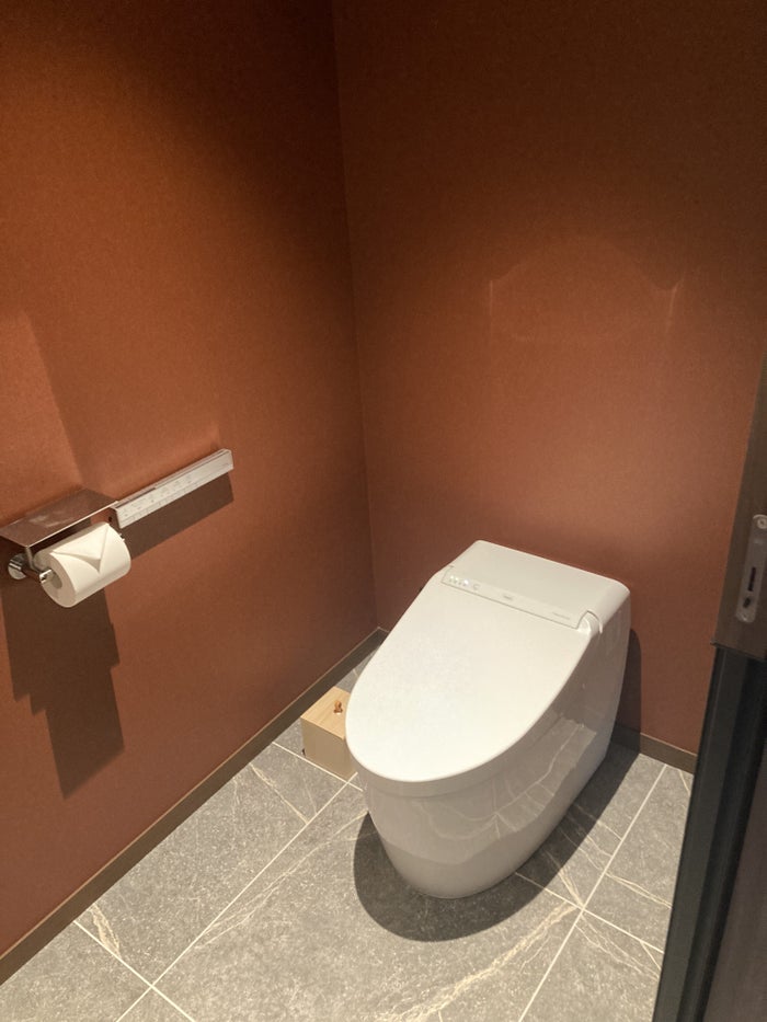 Fuji Speedway Hotel Grand Prix Corner King Suite toilet half bath Fuji Speedway Hotel Grand Prix Corner King Suite toilet half bath