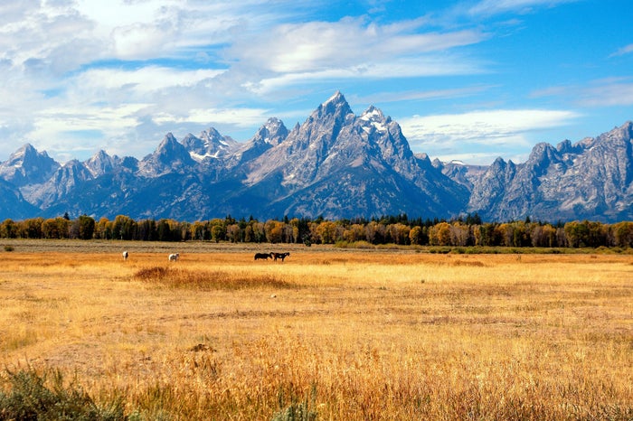Grand Tetons Grand Tetons