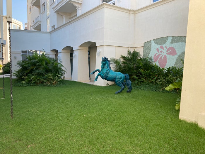 Los Tajibos Tribute Portfolio Santa Cruz Bolivia art on lawn Los Tajibos Tribute Portfolio Santa Cruz Bolivia art on lawn