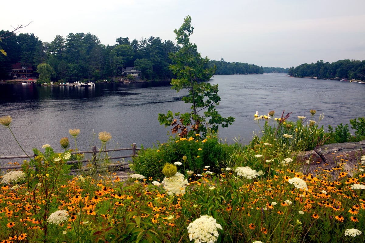 The Ultimate Travel Guide to Muskoka in Ontario, Canada — Best Things To Do, See & Enjoy!