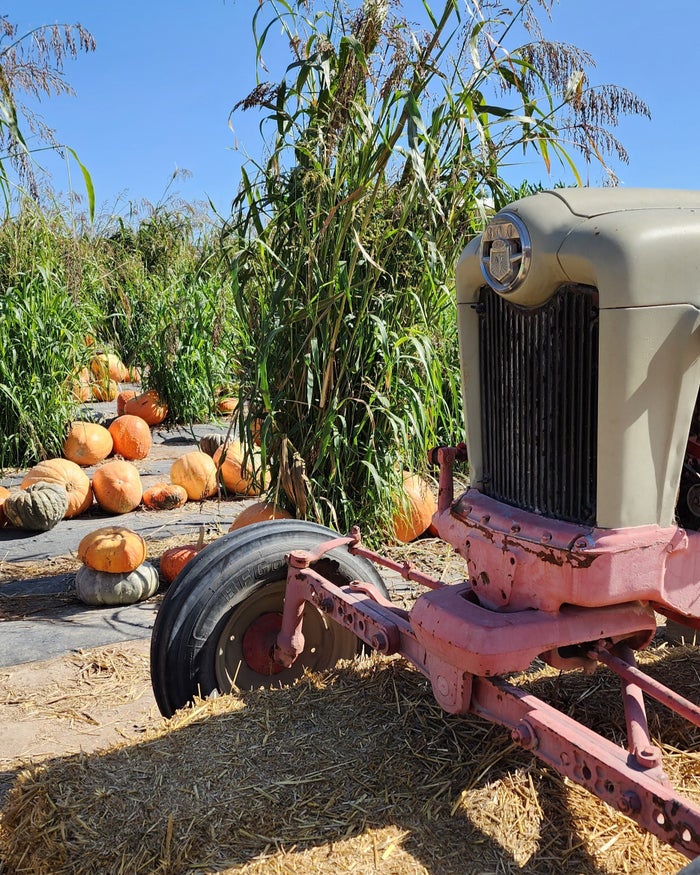 Tanaka Farms