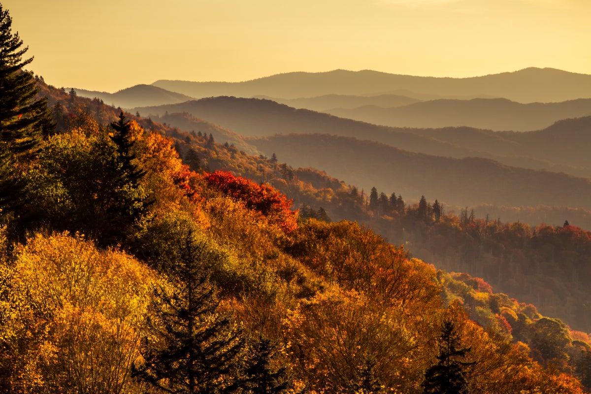 Hazy mountain layers with colorful fall foilage at overlook in Great Smoky Mountains National Park