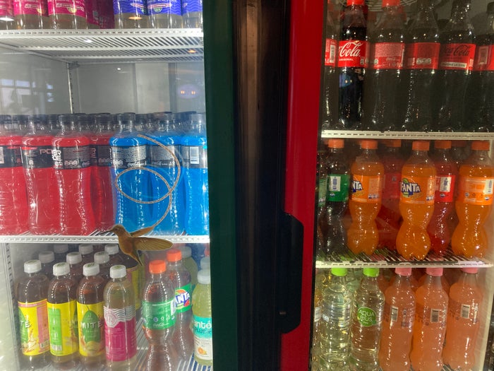 VIP Lounge Santa Cruz de la Sierra drink coolers VIP Lounge Santa Cruz de la Sierra drink coolers