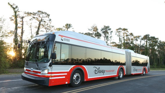 disney bus transportation