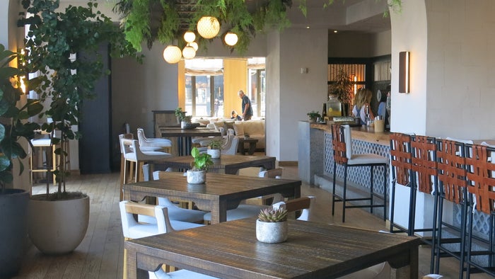 1 Hotel San Francisco [In-depth Hotel Review]