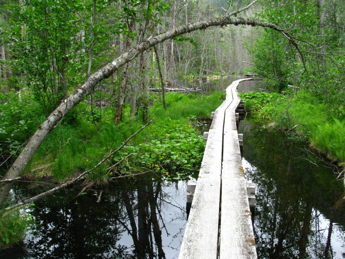 Klondike Gold Rush National Historical Park Guide [Alaska] — Skagway, White Pass Trail, and Dyea