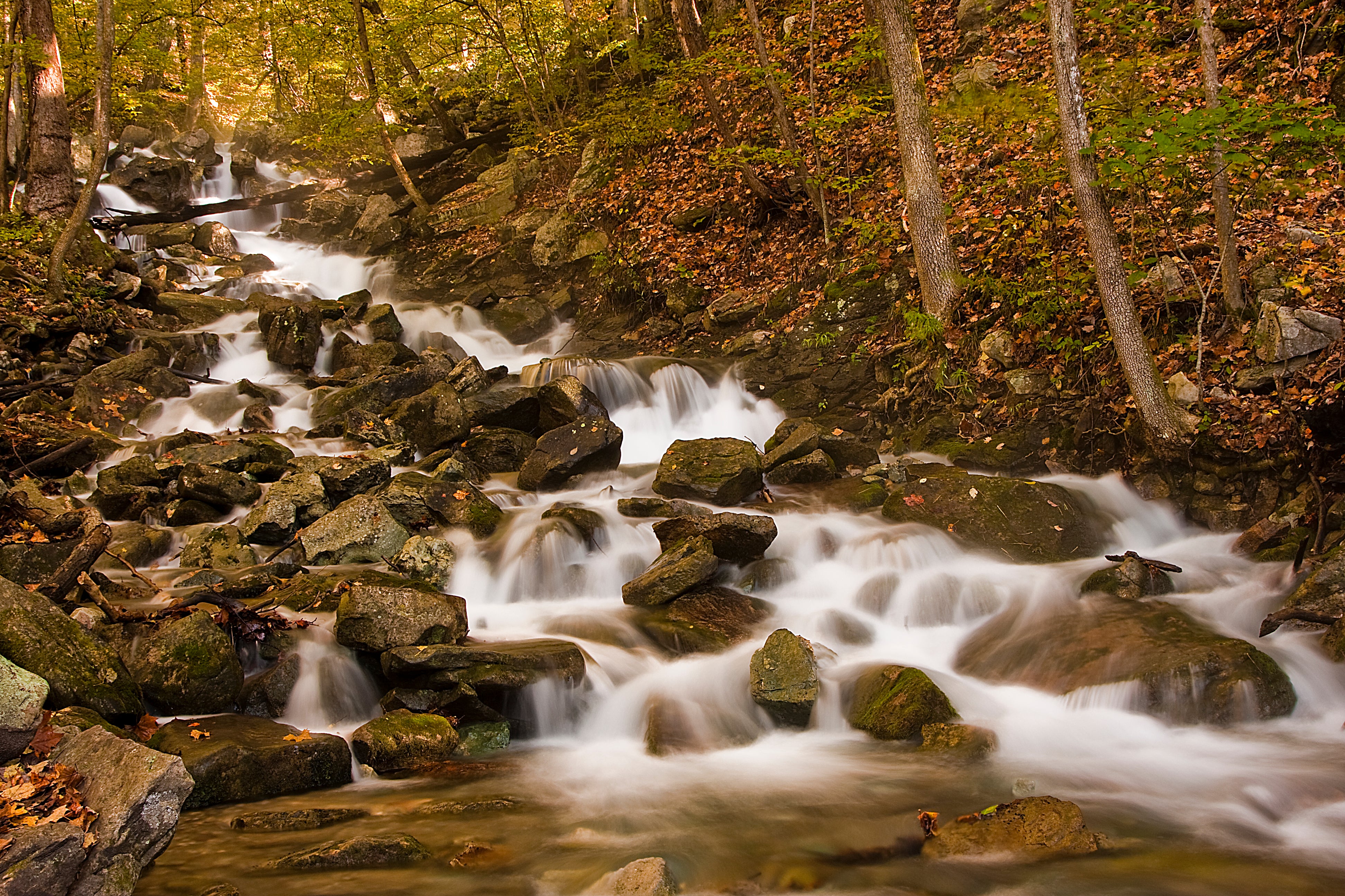 Cumberland Gap National Historical Park Guide [2023]