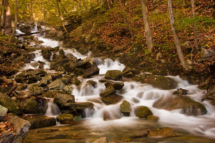 Cumberland Gap National Historical Park Guide — Visitor Center, Cave, and More