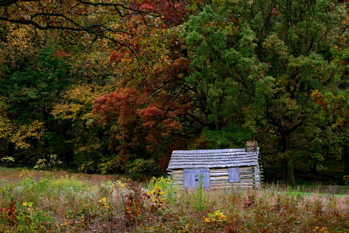 Hut at Artillery Park