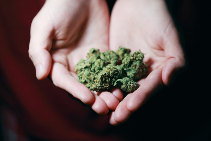 Can You Fly With Marijuana? Legalities and Risks [2025]