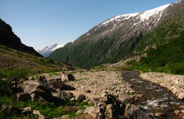 Sunny Day on the Chilkoot Sunny Day on the Chilkoot