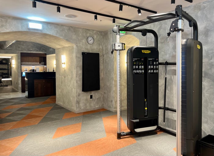 W Rome gym pulley machine