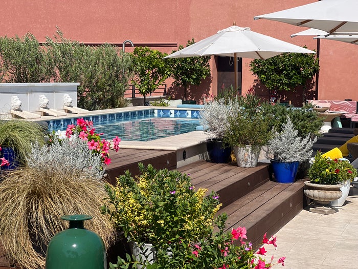 An Unforgettable Stay at the W Rome, Italy [In-Depth Hotel Review]