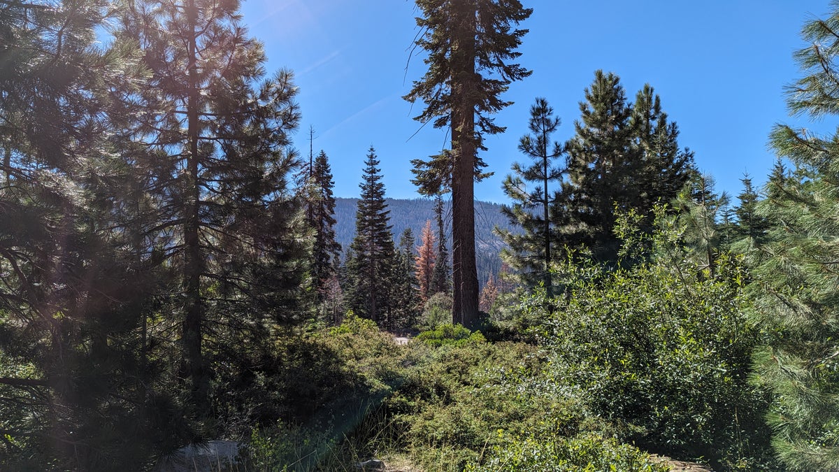 Wuksachi Lodge Sequoia National Park Sillman House view