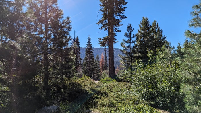 Wuksachi Lodge Sequoia National Park Sillman House view
