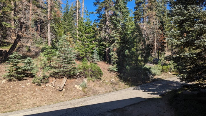 Wuksachi Lodge Sequoia National Park guestroom view