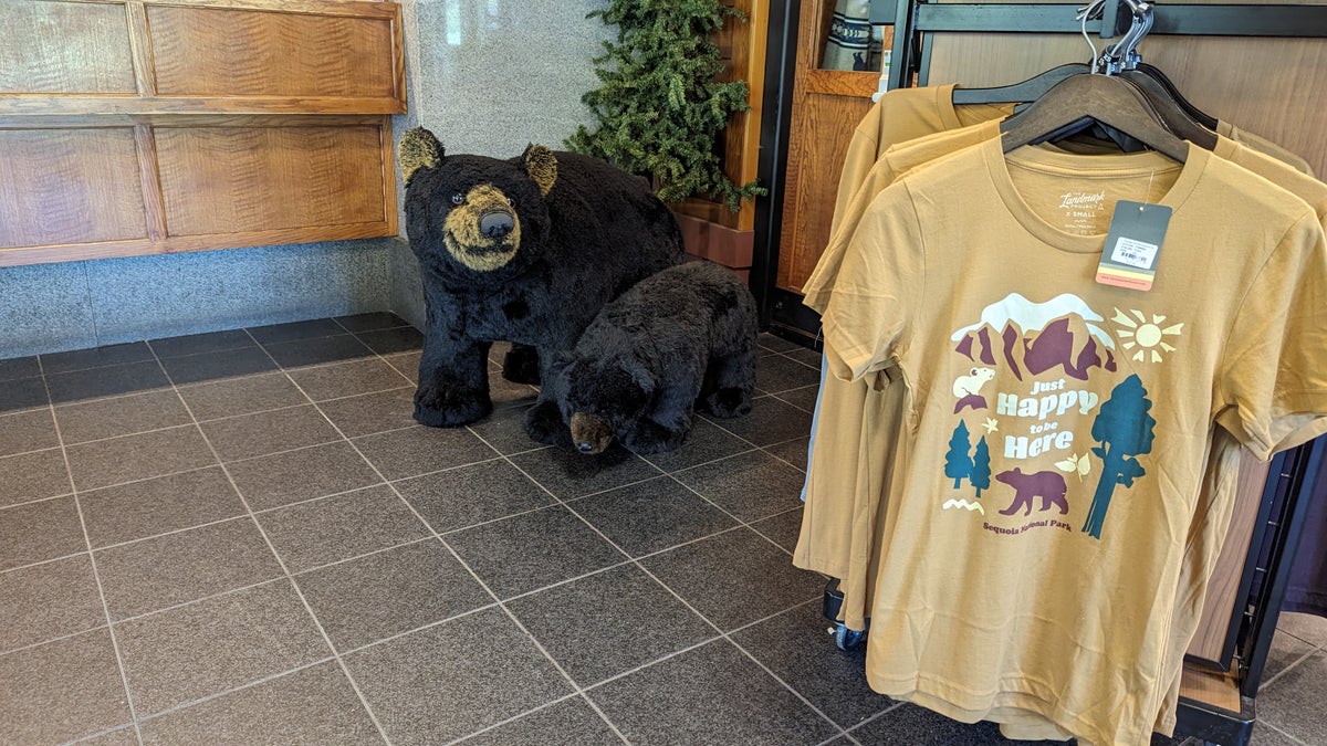 Wuksachi Lodge Sequoia National Park lobby bears