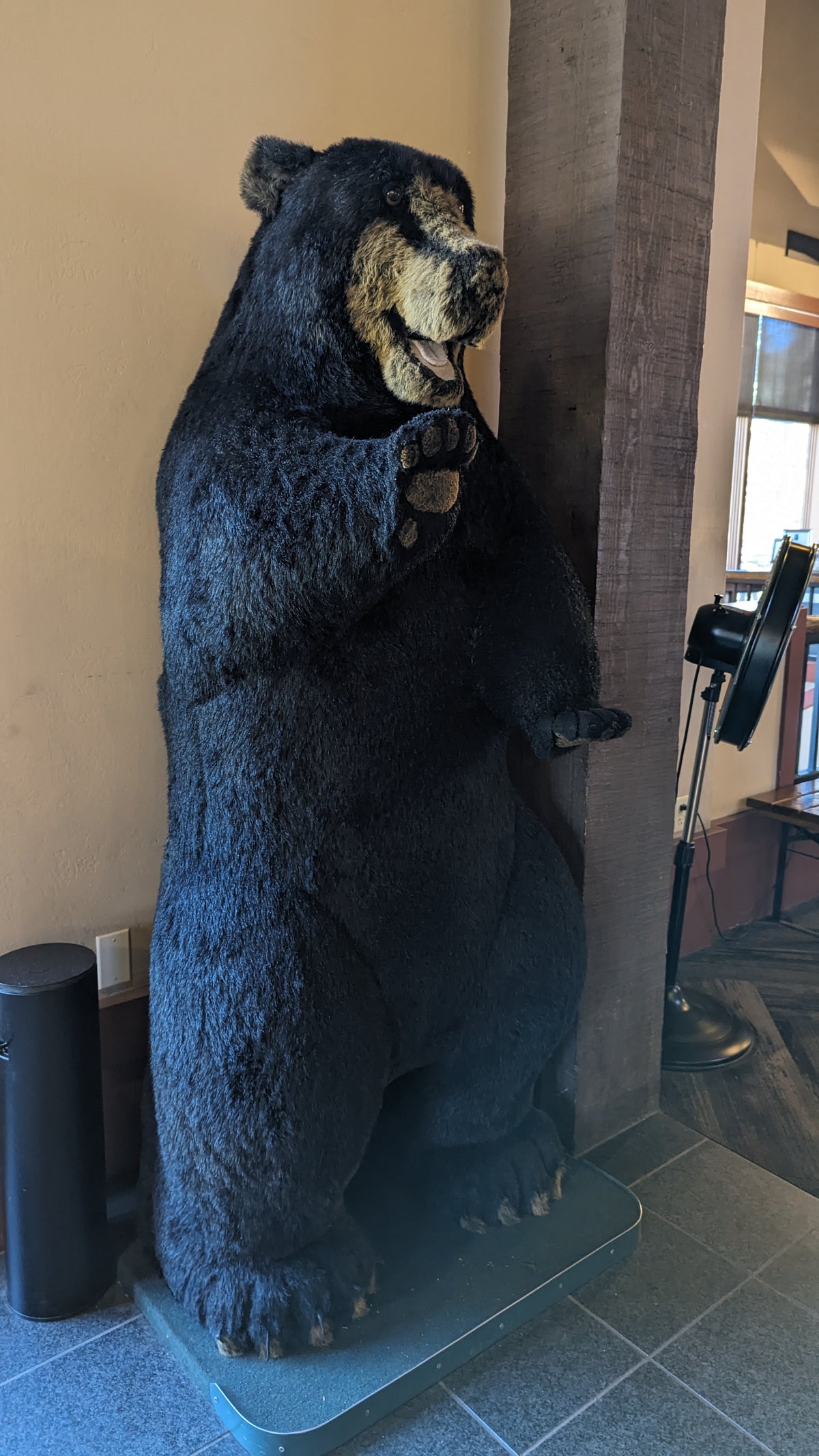 Wuksachi Lodge Sequoia National Park lodge lobby bear