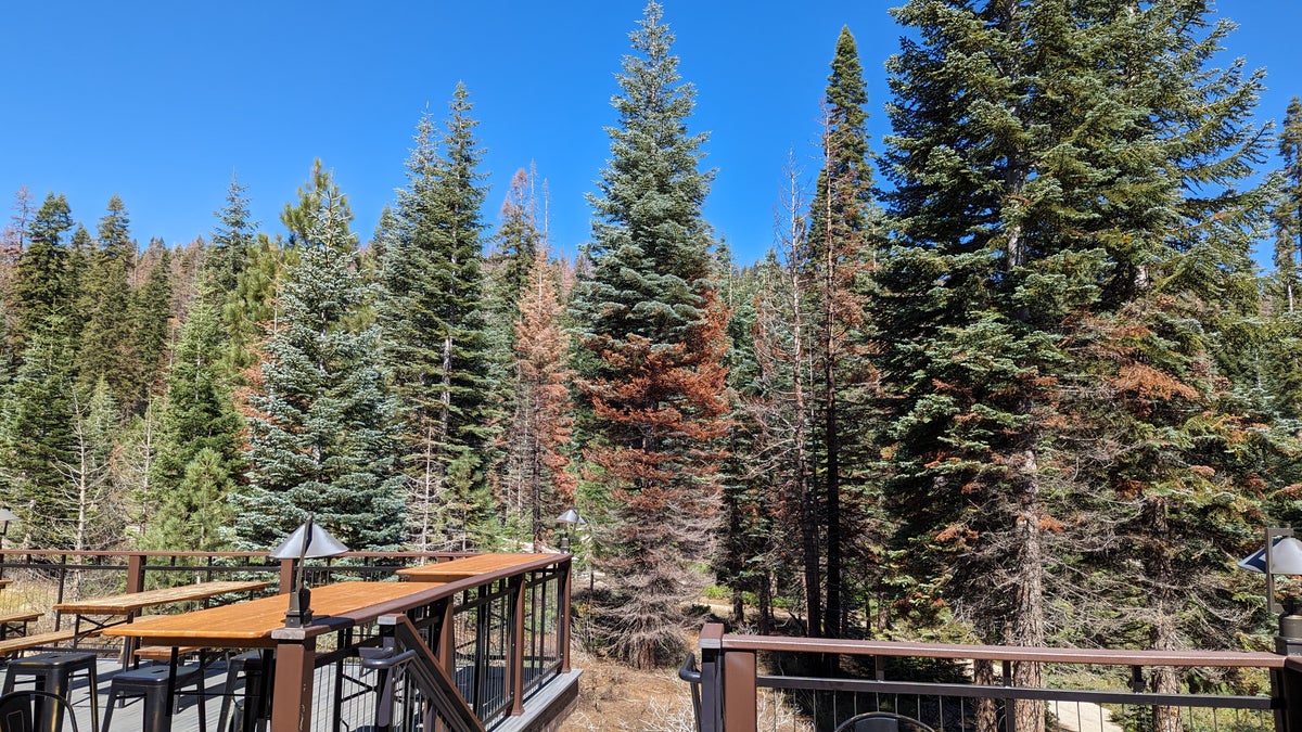Wuksachi Lodge Sequoia National Park lodge patio view