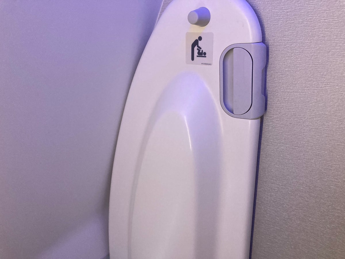 ANA B787 8 business class lavatory baby changing table