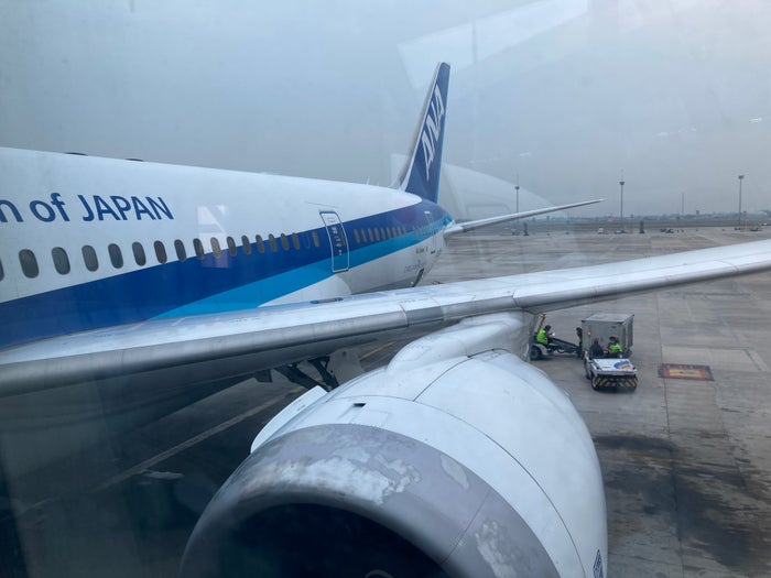 ANA Boeing 787-8 Business Class Review [CGK to HND]