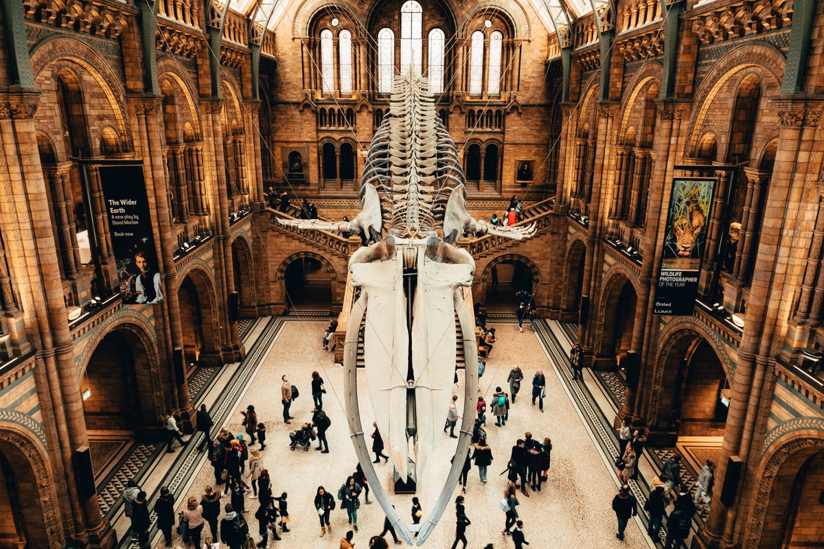 The 37 Best Museums in London, United Kingdom [2024]