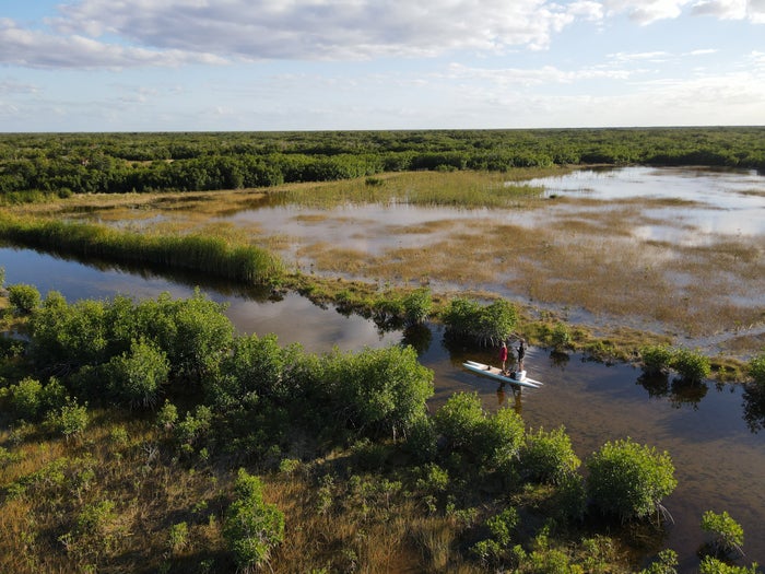 Big Cypress National Preserve Guide — Camping, Hiking, and More