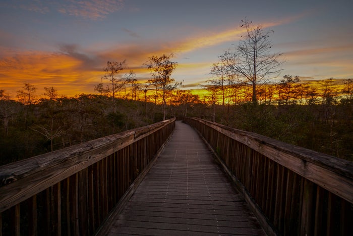 Big Cypress Sunset Big Cypress Sunset