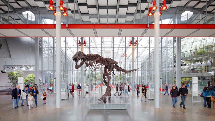 California Academy of Sciences California Academy of Sciences