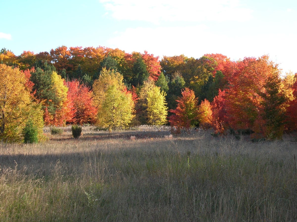 Fall Colors at Windy Moraine