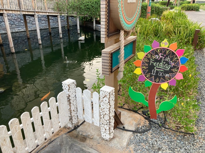 Lapita Dubai Parks and Resorts Autograph Collection spa fish feeding