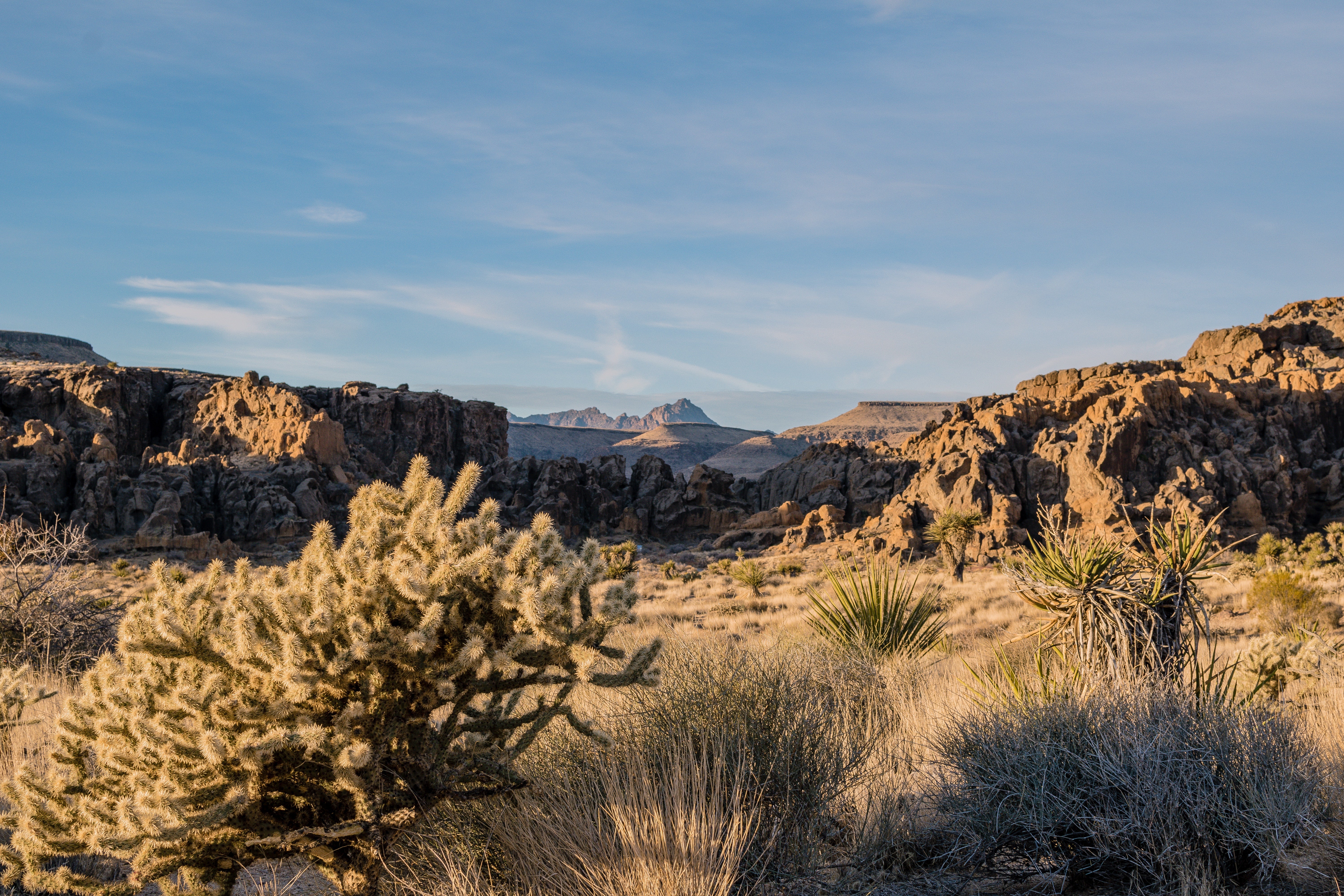 Mojave national preserve outlet backpacking